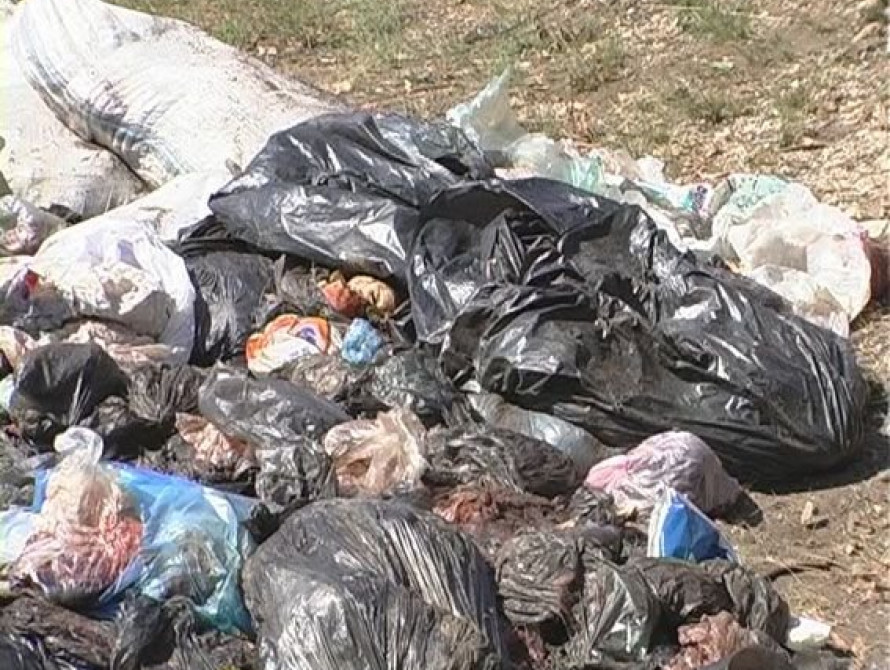 В Запорожской области в лесу обнаружили ампутированные части сотни тел	