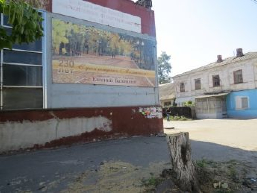 В Мелитополе из-за билборда нардепа срубили дерево