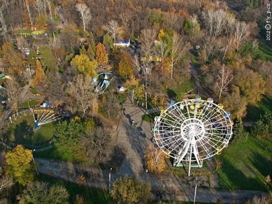 В Запорожье в "Дубовке" появилась экзотическая Аллея брачных союзов 