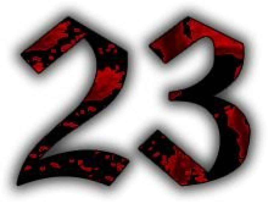 23 февраля в Запорожье: "ватный" митинг, обезглавленный "Ленин" и шествие в честь Поляка