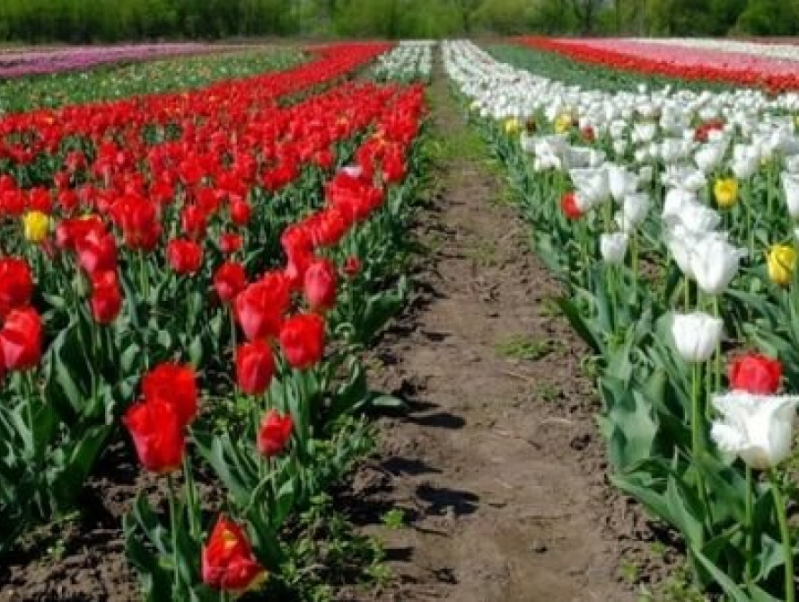 Куда из Запорожья можно отправиться на майские праздники в Украине 