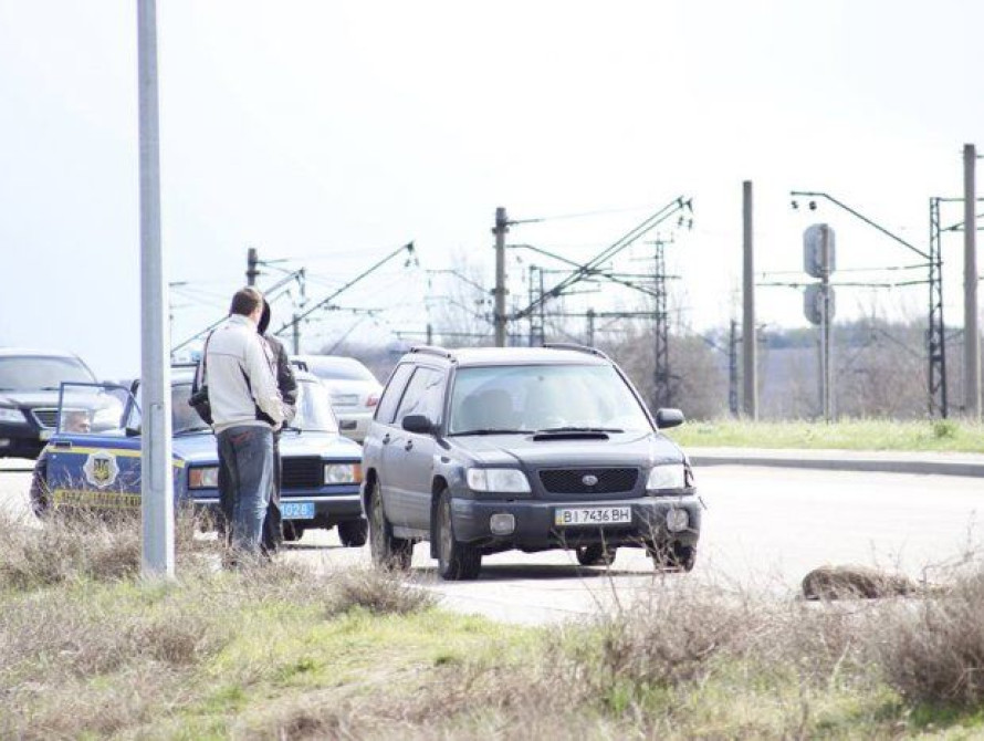 В Запорожье на Хортице иномарка сбила оленя (фото)