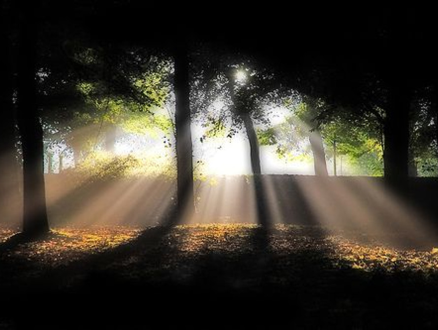 В Бердянске часть города на весь день останется без света