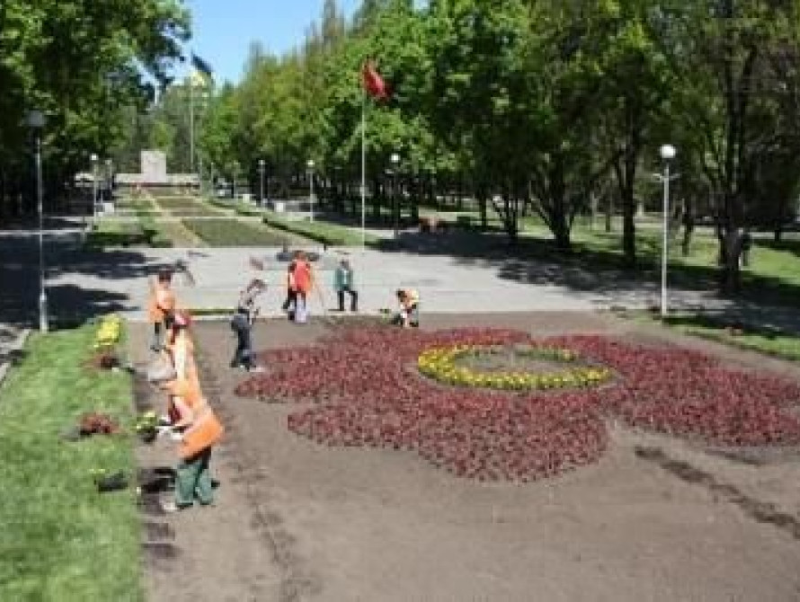 В Запорожье на Аллее Боевой Славы высадили "Мак памяти"