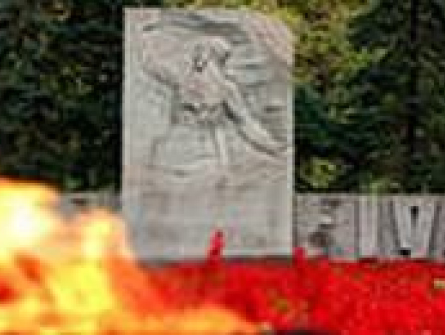 В Запорожье на Аллее Боевой Славы установили стену памяти участников ВОВ (фото)