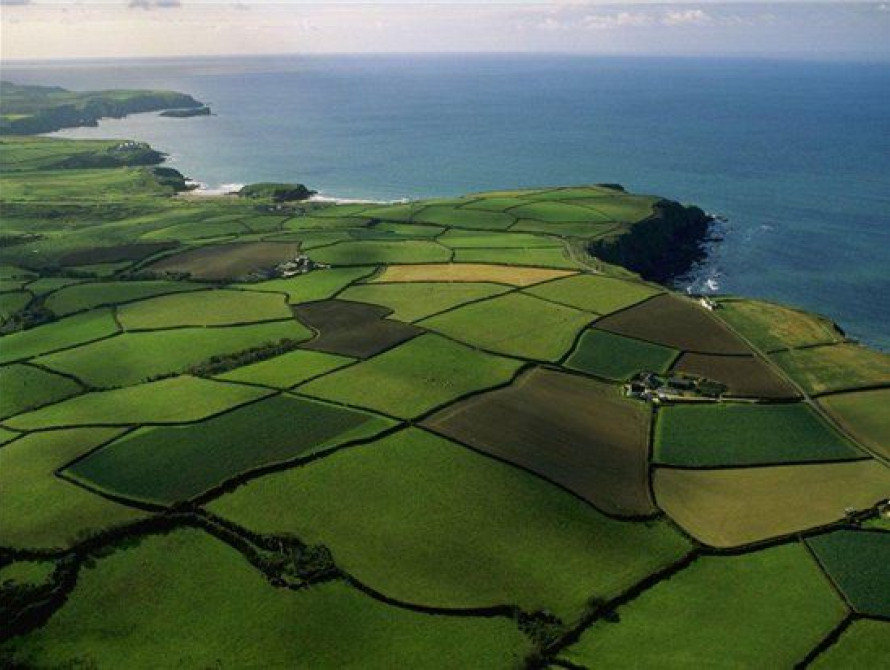 В Запорожье семьи участников АТО могут получить земельные участки