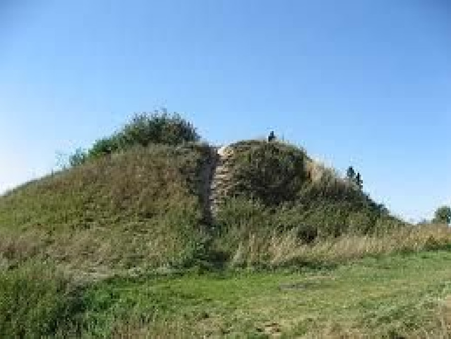 В Запорожской области скифские курганы отобрали у частника