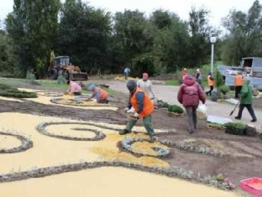 Директор "Зеленстроя": Я не отвечаю за аварийные деревья во дворах