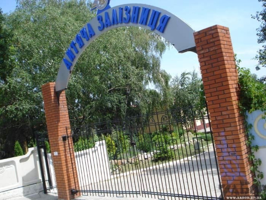 В Запорожье на ДЖД умер волк