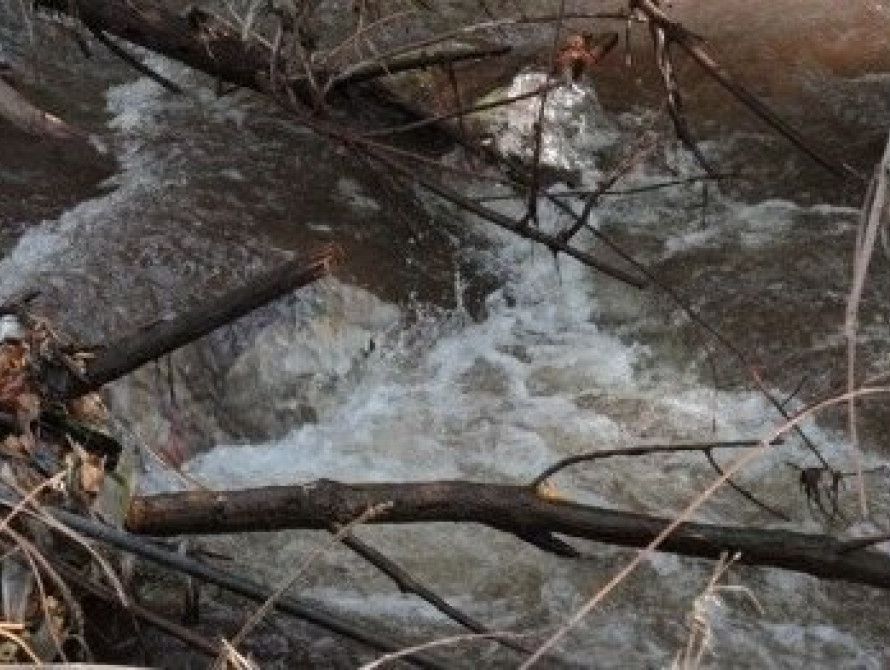 В Запорожье красная речка стала прозрачной