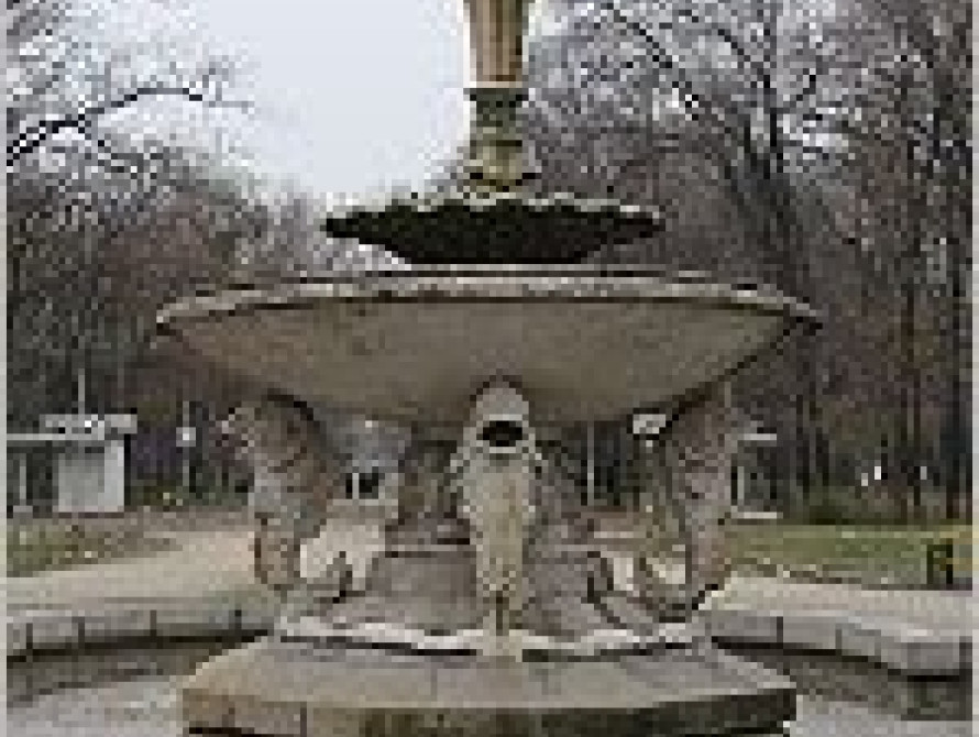 В Запорожской "Дубовке" фонтан оснастят светомузыкальной подсветкой