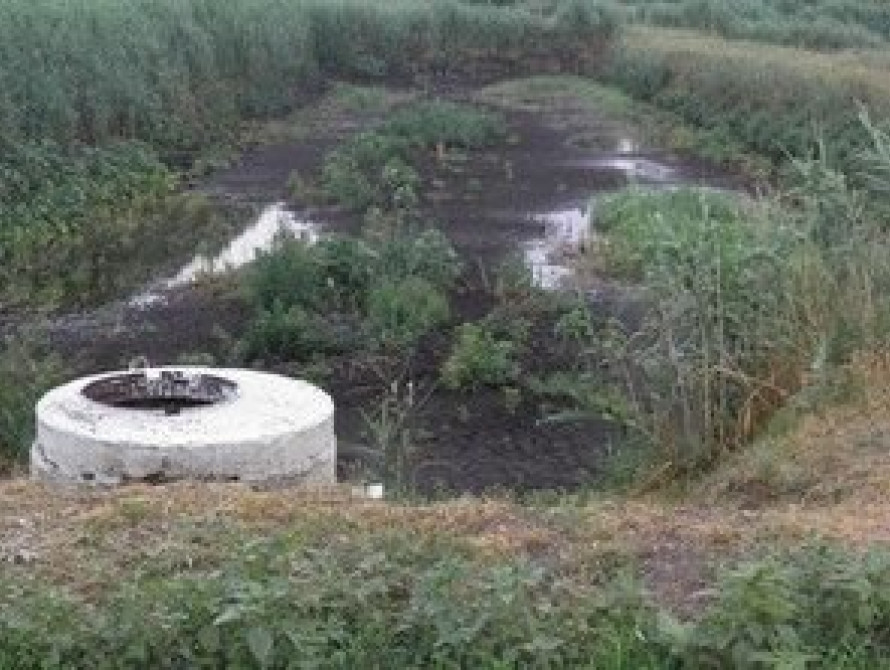 Выборы в Балабино: бегство главы комиссии, подкуп избирателей и победа Блока Порошенко