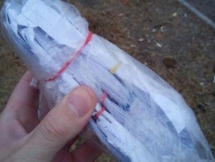 Запорожец на "Песках" нашел пачку пригласительных на выборы