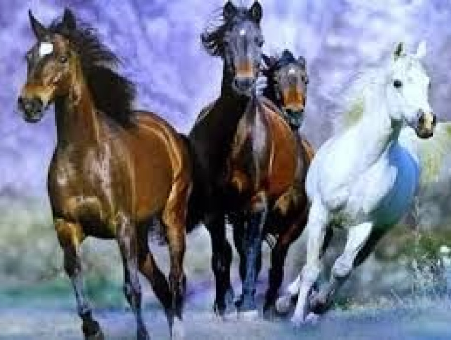 В Запорожье на Хортице легковушка насмерть сбила лошадь