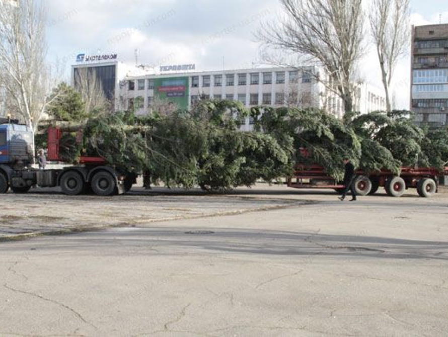 В Запорожье на пл. Фестивальной устанавливают 24-метровую елку из Берегомета