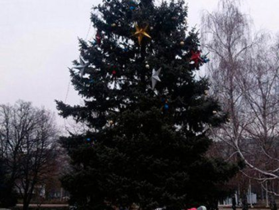 В Запорожье на позорную елку Коммунарского района согнали детей