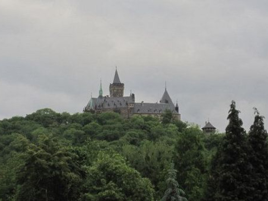 В Запорожье отчитались о поездке Самардака в Саксонию