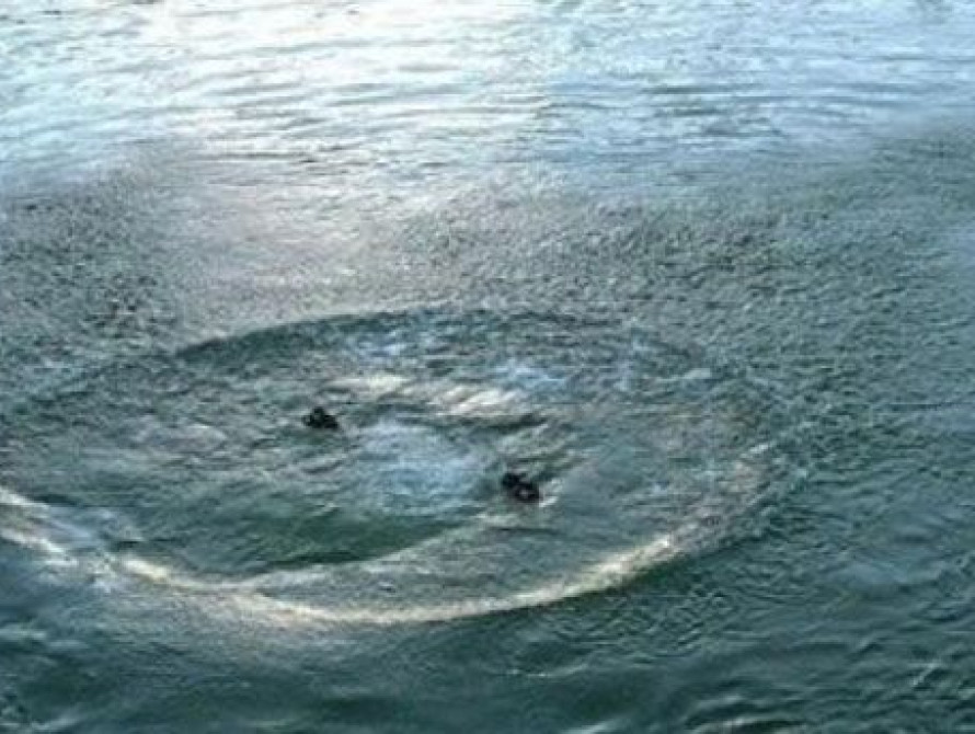 В Запорожье на речном вокзале  погиб молодой человек