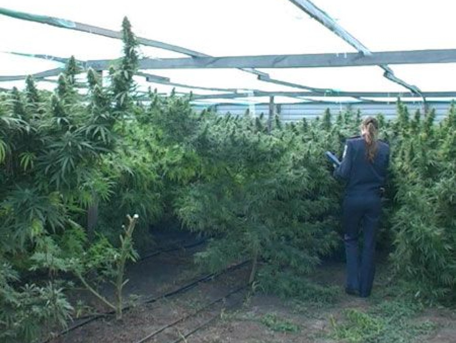 В Запорожье "накрыли" очередного наркобарона