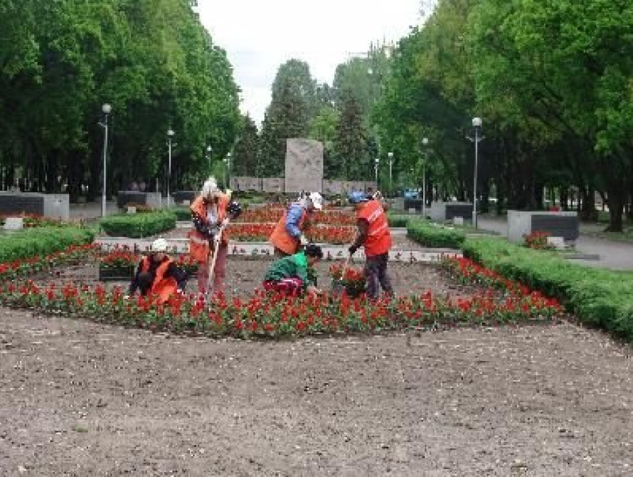В Запорожье ко Дню Победы высадят 34 тысячи цветов