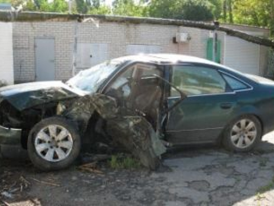 В Мелитополе ночью машина влетела в дерево, водитель погиб (фото)