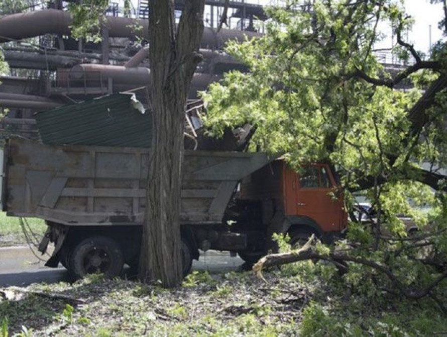 В Запорожье на кабину машины упало дерево, водитель отделался переломом ноги