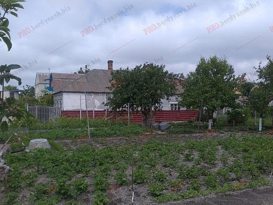 Жертва бердянского убийцы была парализованной. Подробности жуткого преступления